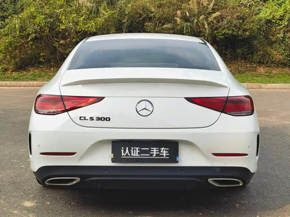 Mercedes-Benz CLS 2021 CLS 300 Luxury фото 6