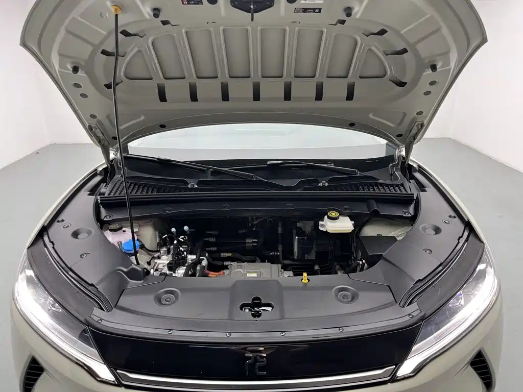 BYD Yuan UP 2025 2025 Smart Drive Edition 401KM Vitality Version