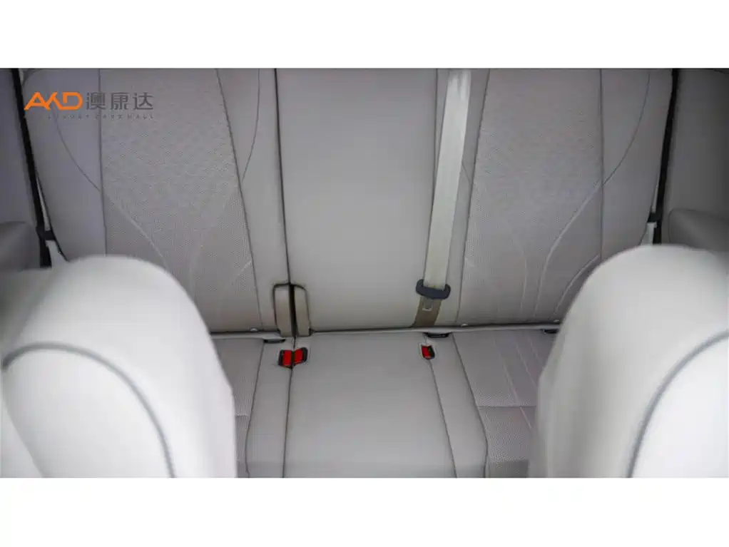 Фото 9 - XPeng X9
