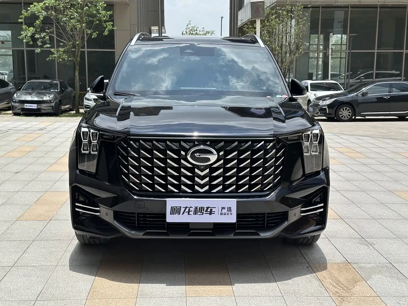 GAC Trumpchi Trumpchi GS8 2022 Pilot Series 2.0TGDI 2WD Luxury Smart Connect Edition (7-Seater) фото 3