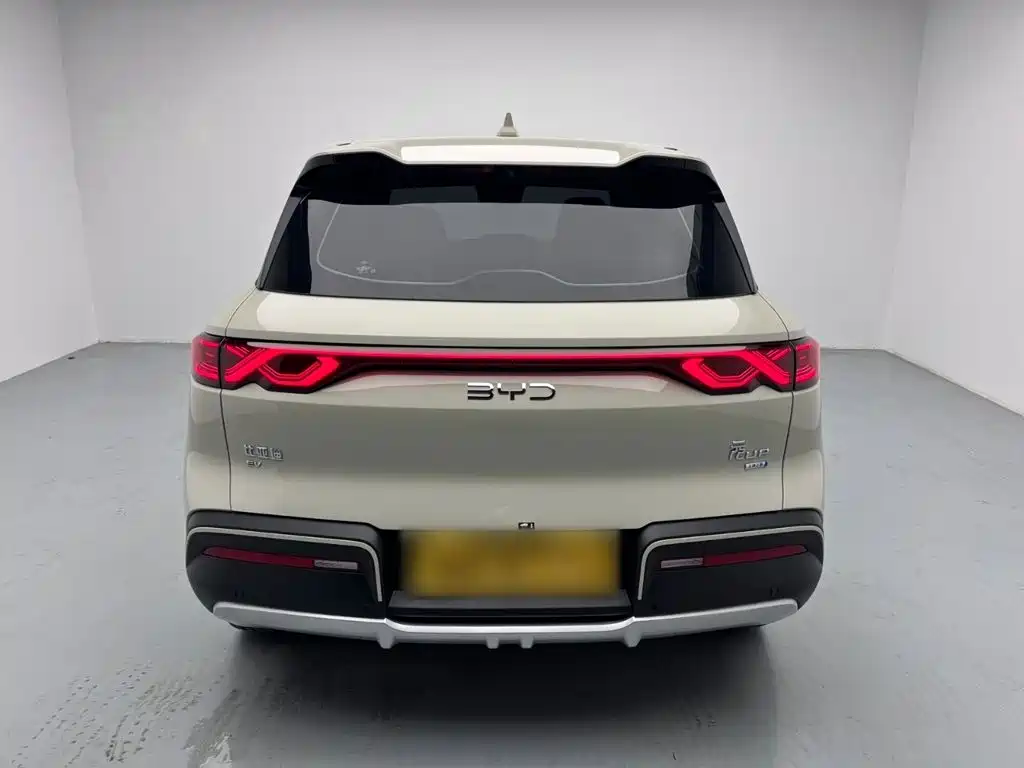 BYD Yuan UP 2025 2025 Smart Drive Edition 401KM Vitality Version
