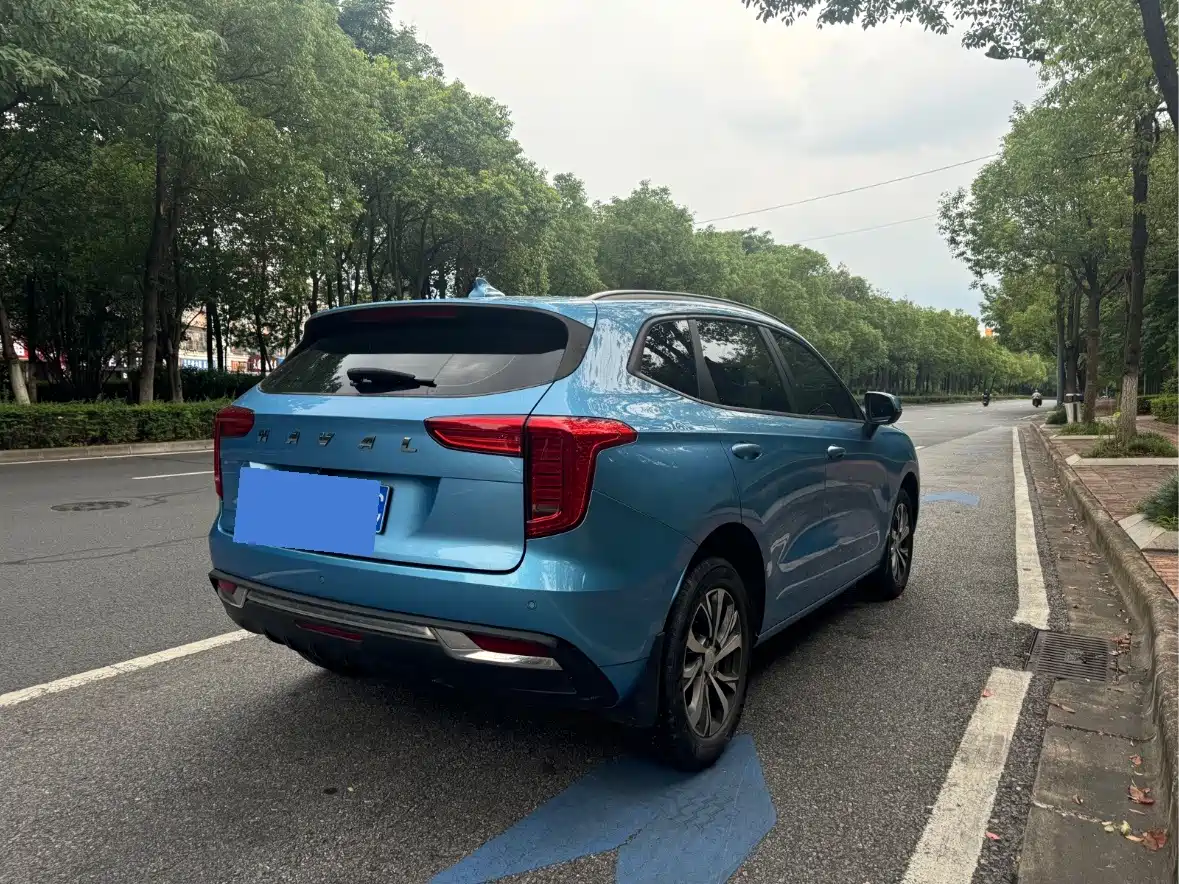 Haval First Love 2021 2021 1.5T Automatic Premium Edition