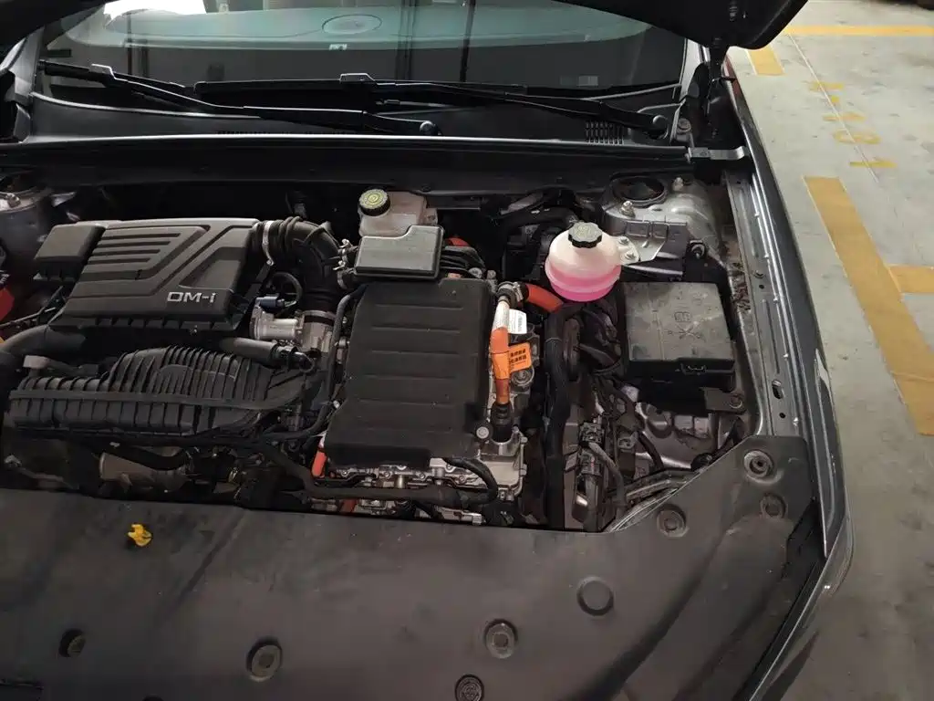BYD Qin PLUS 2021 DM-i 55KM Flagship фото 22