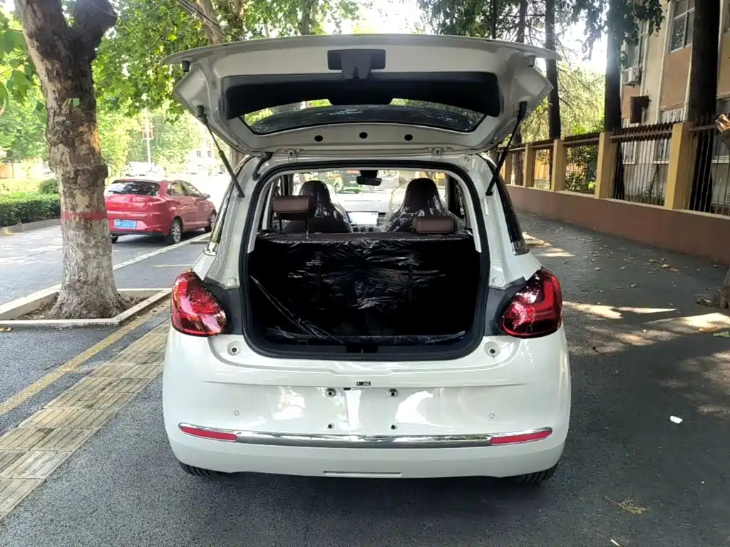Wuling Motors Wuling Bingo 2026 2025 Model 333km Smart Connect