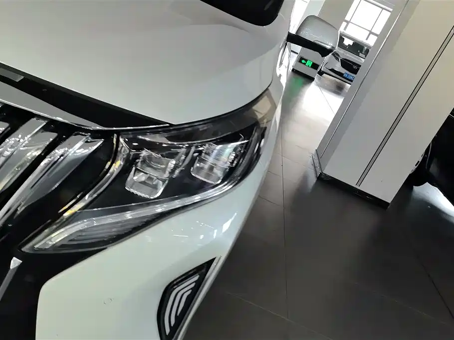 GAC Trumpchi Trumpchi M8 2023 Leading Series 390T Ultimate Edition фото 5