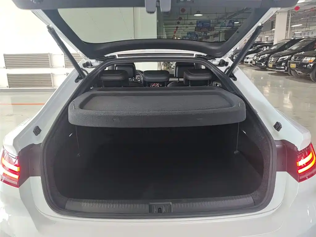 Volkswagen FAW-Volkswagen CC 2019 380TSI Charming Appearance (China V) фото 19