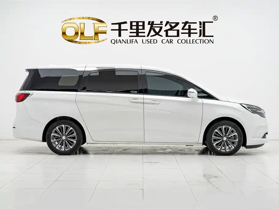 Buick GL8 2022 ES Landmark 653T Luxury фото 8