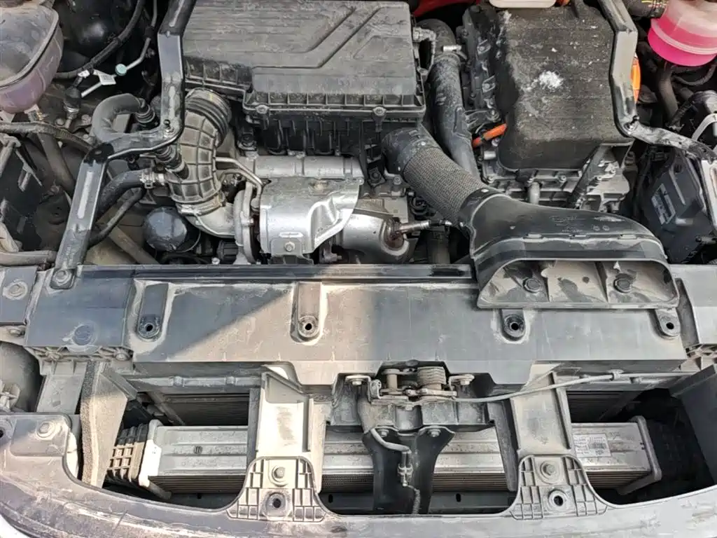 BYD Tang New Energy 2021 DM-i 112KM Honor фото 20
