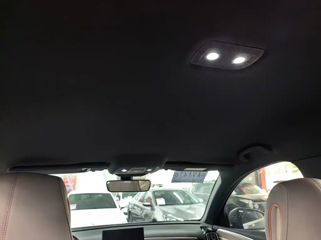 BYD Song Pro New Energy 2025 2024 Glory Edition DM-i 71KM Pilot