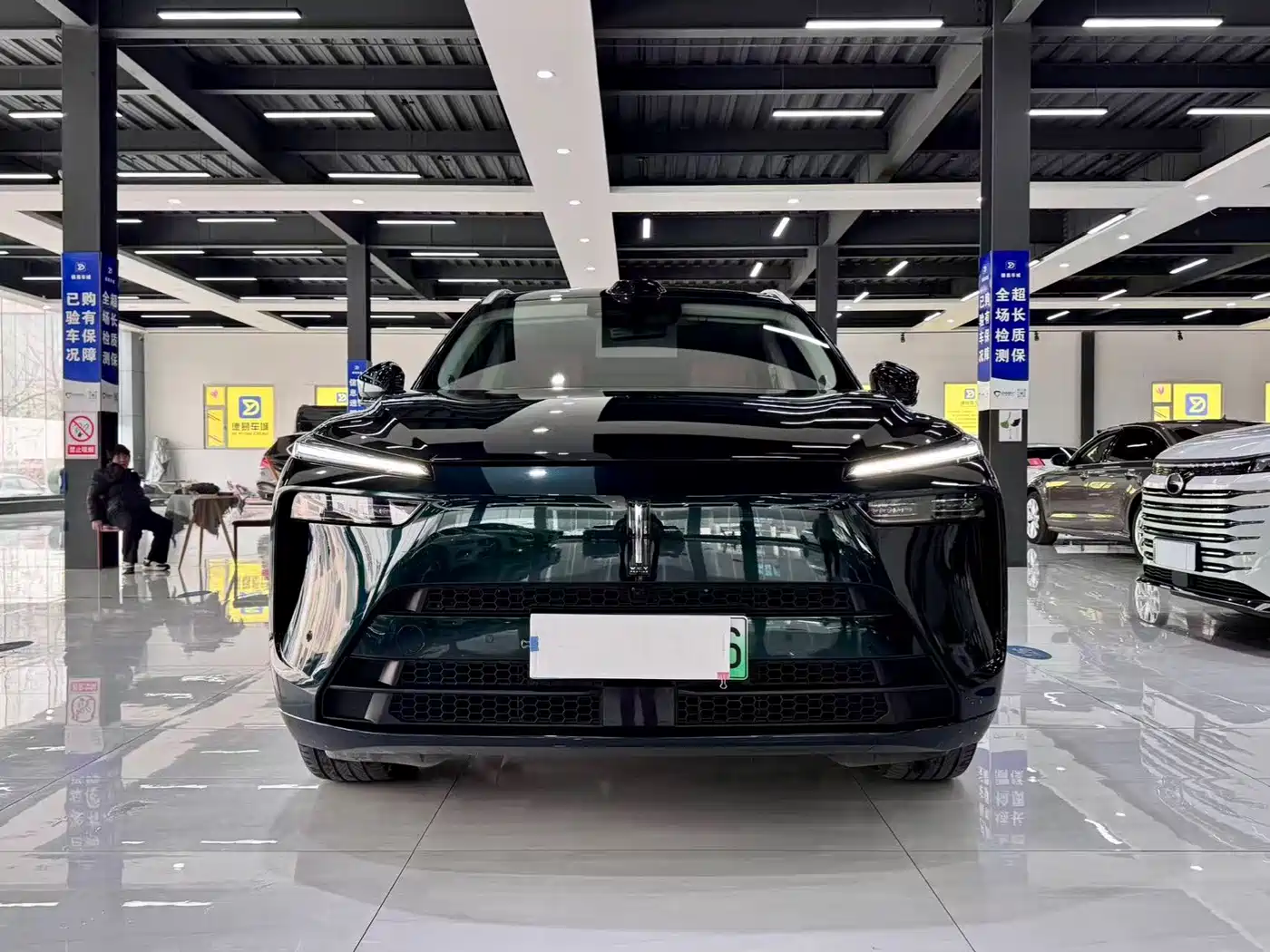 WEI PAI WEI BRAND BLUE MOUNTAIN