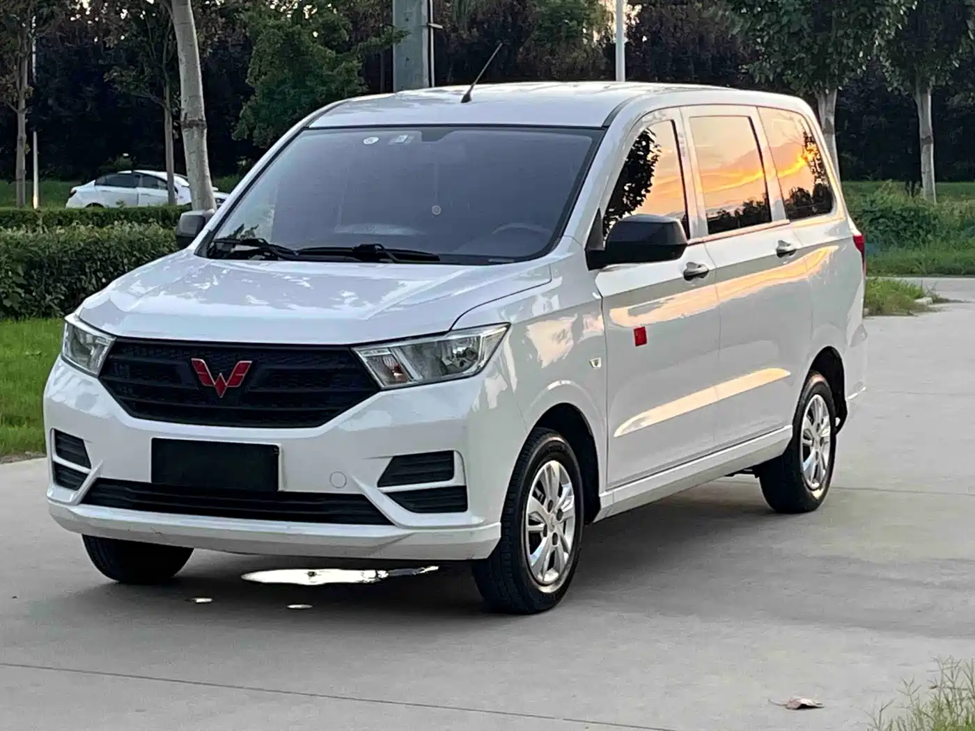 Wuling Motors Wuling Hongguang 2019 — пригон из Китая