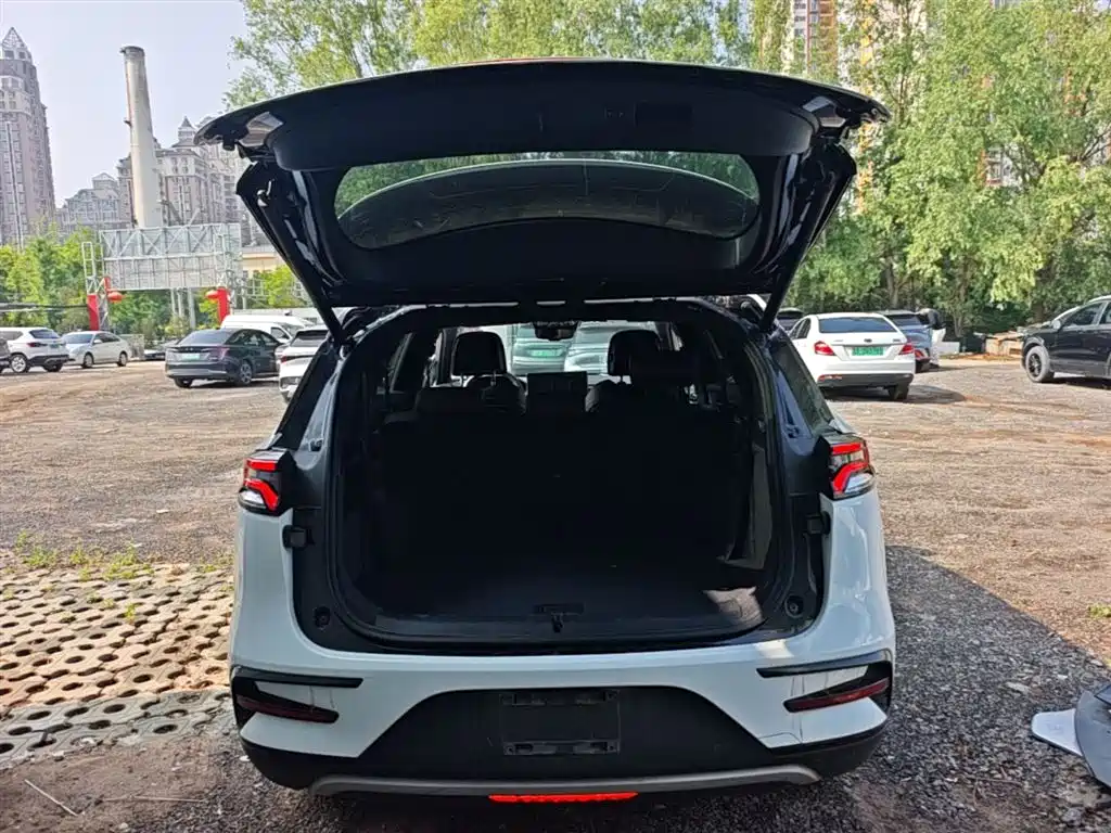 BYD Tang New Energy 2021 DM-i 112KM Honor фото 19