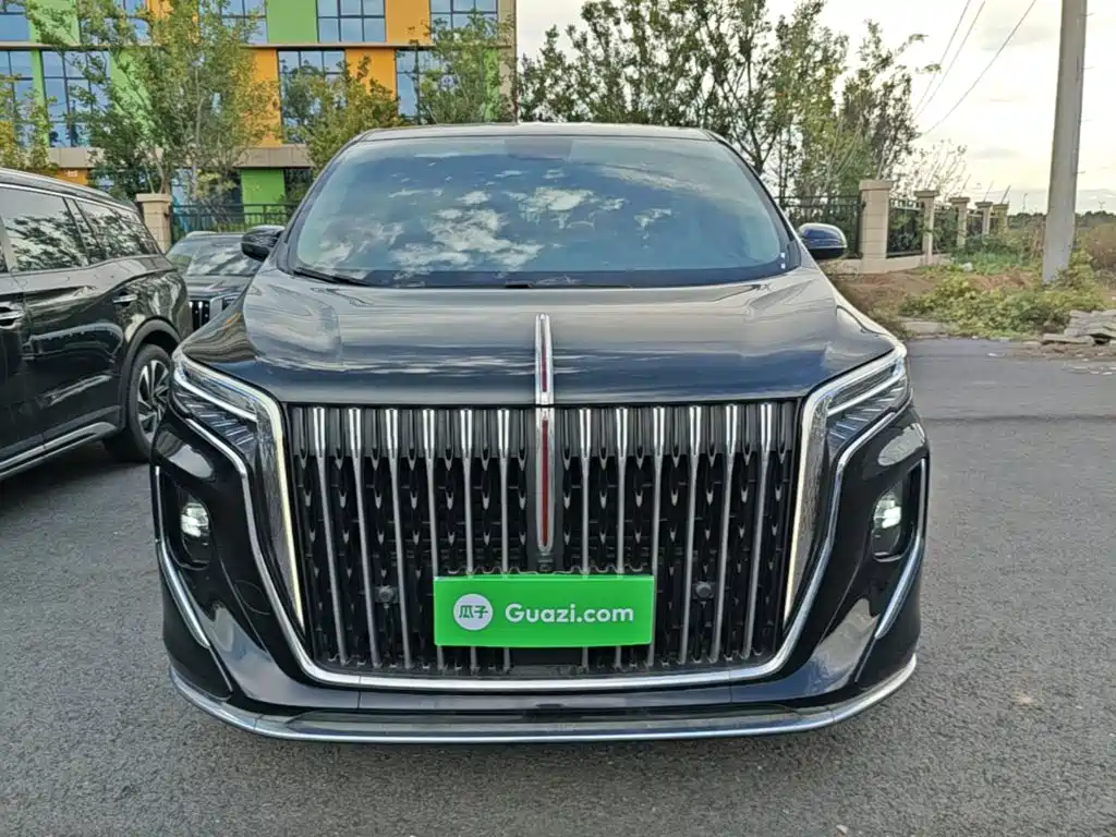 Photo 3 - Hongqi HQ9