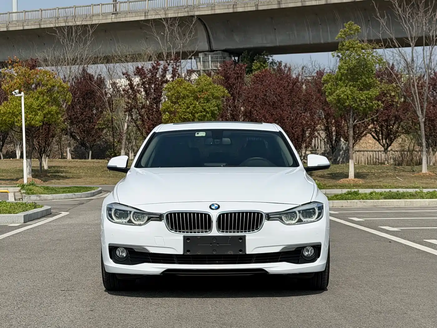 BMW 3 Series 2018 320Li Fashion Style фото 2