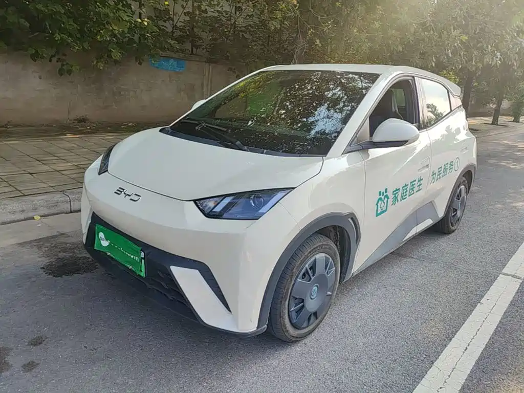 BYD Seagull 2024