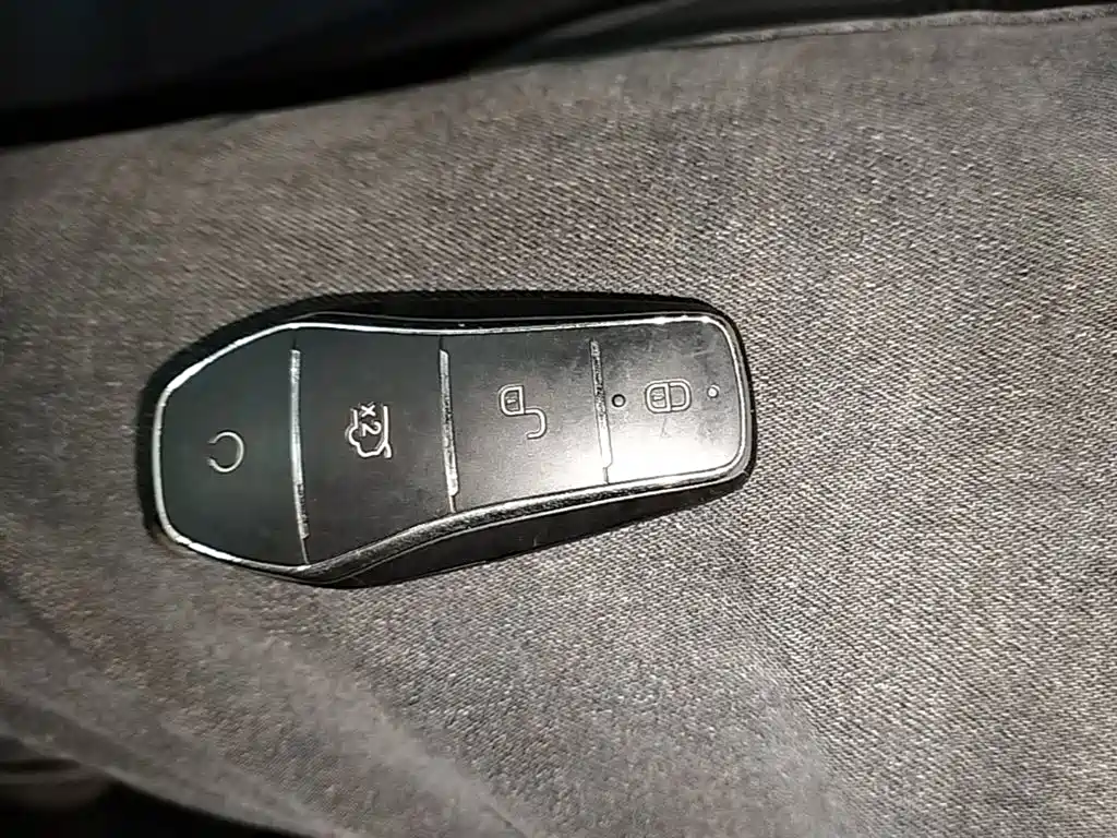 BYD Qin PLUS 2025 DM-i Smart Drive 55KM Leader фото 9
