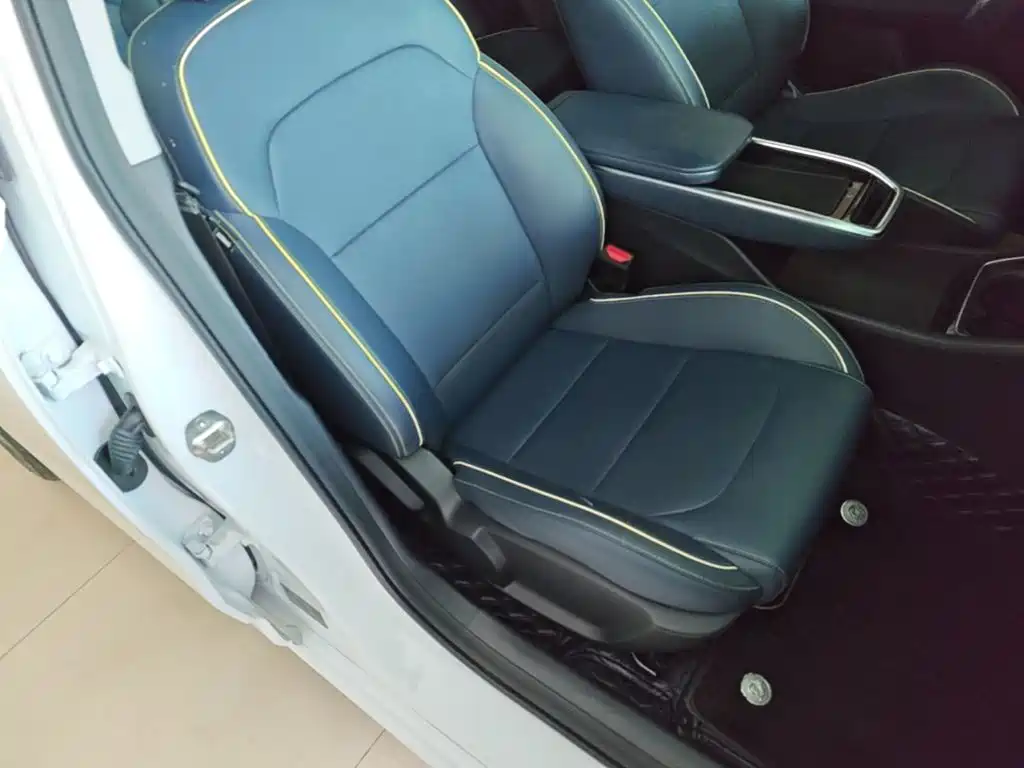 Geely Geometry G6 2024 2024 500KM Premium