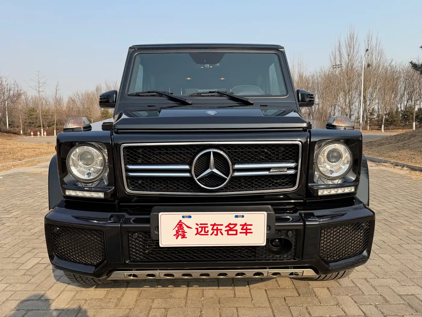 Mercedes-Benz G-Class AMG 2016 Model AMG G 63 Edition 463 фото 4
