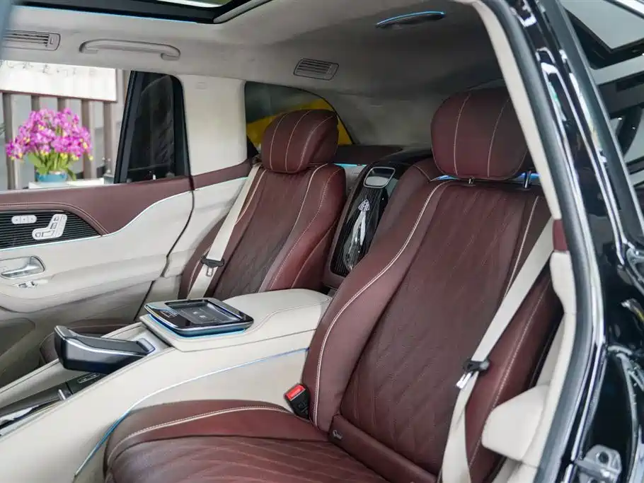 Mercedes-Benz Maybach GLS 2024 GLS 600 4MATIC Ritual Edition фото 14