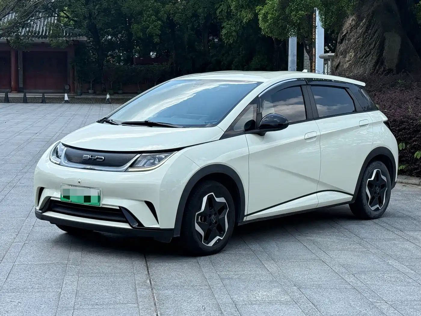BYD Dolphin 2021 405km Freedom Edition