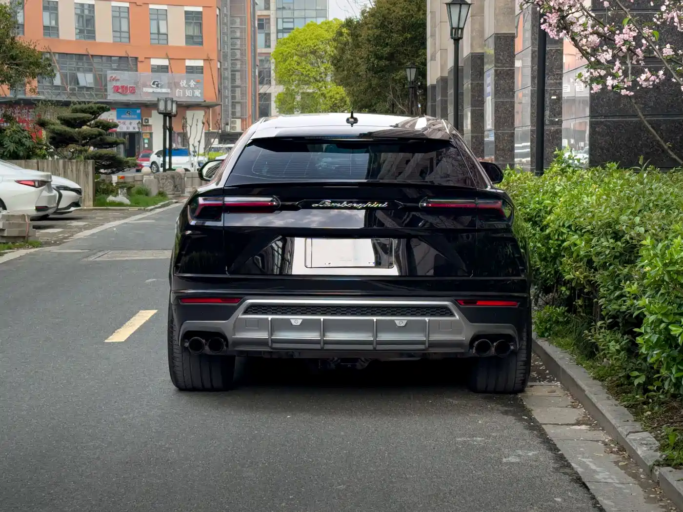 Lamborghini Urus 2018 4.0T V8 фото 3