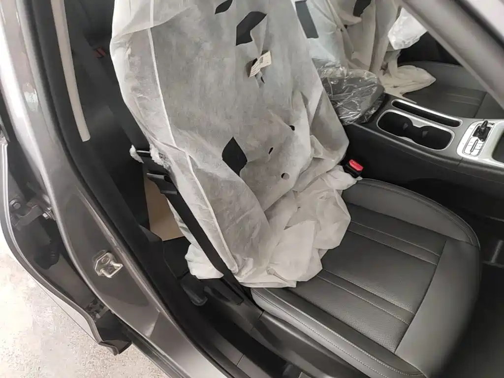 Geely Galaxy Starry Wish 2026 2026 Edition 310km Youth Version