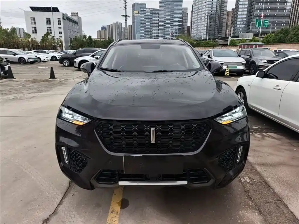 Фото 3 - WEY VV7