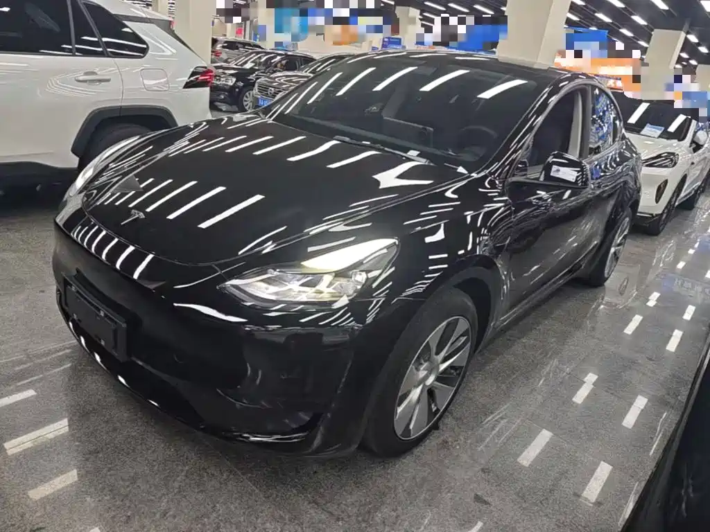 Tesla Model Y 2022 Rear-Wheel Drive Version