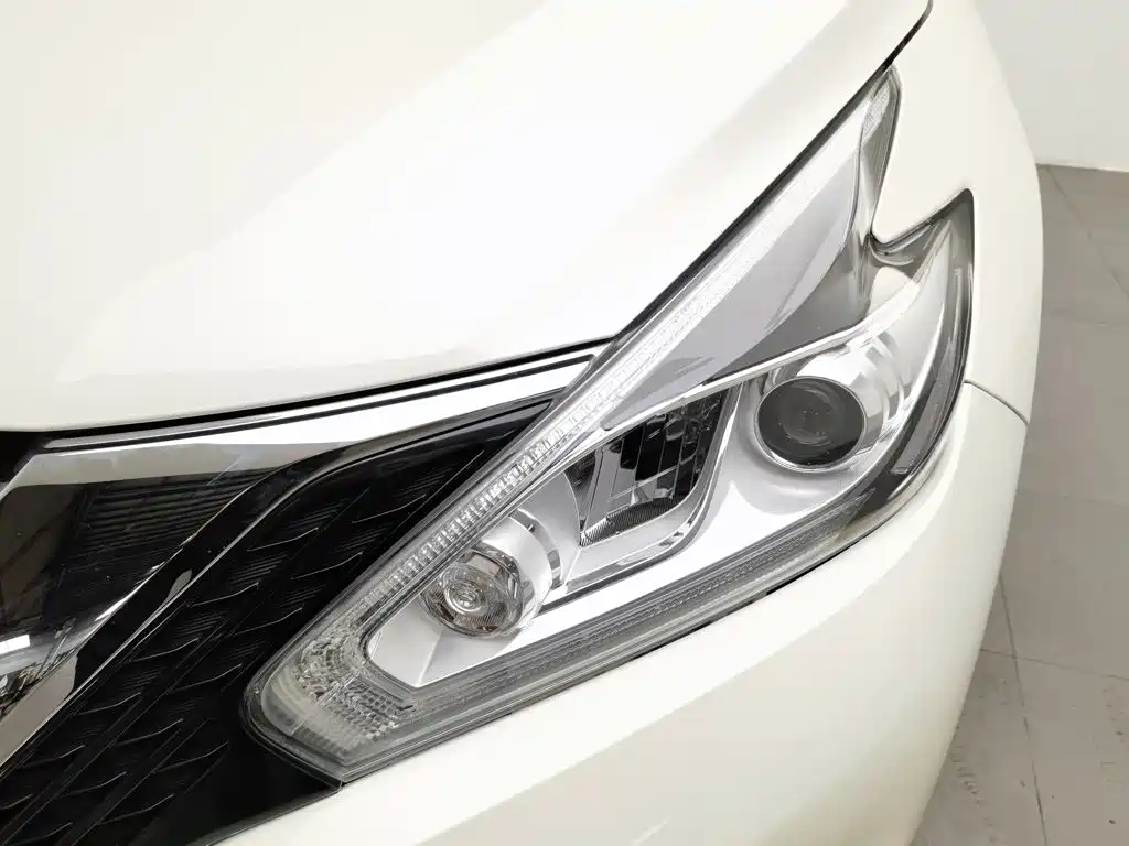 Nissan Murano 2019 2019 2.5L XL 2WD Smart Connect Luxury (China V)