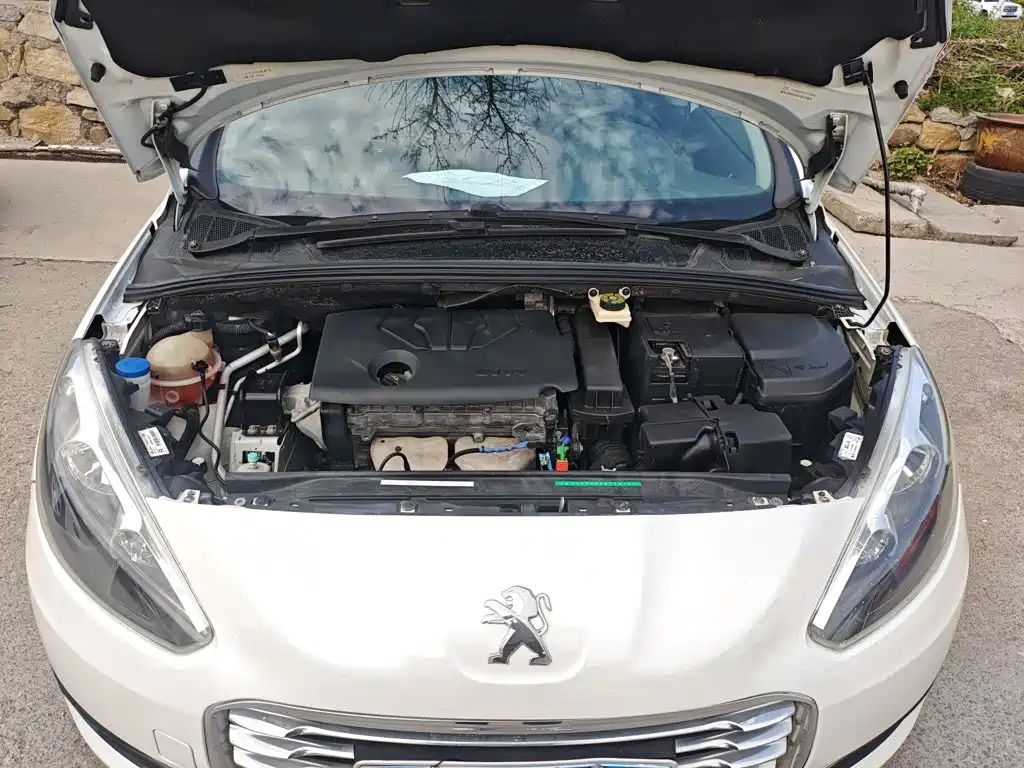 صورة 16 - Peugeot 308