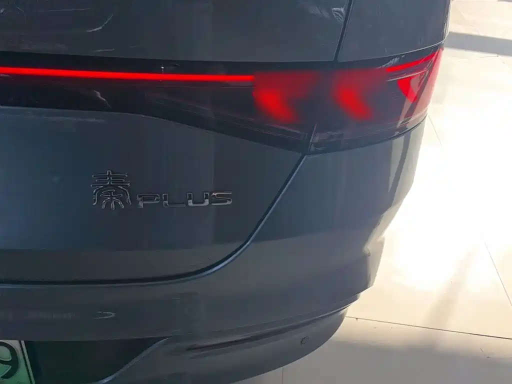 BYD Qin PLUS 2024 Glory Edition DM-i 55KM Leading фото 8
