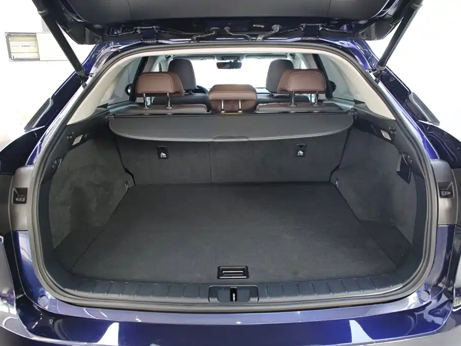 Lexus RX 2016 300 4WD Elegance Edition (China V) фото 19