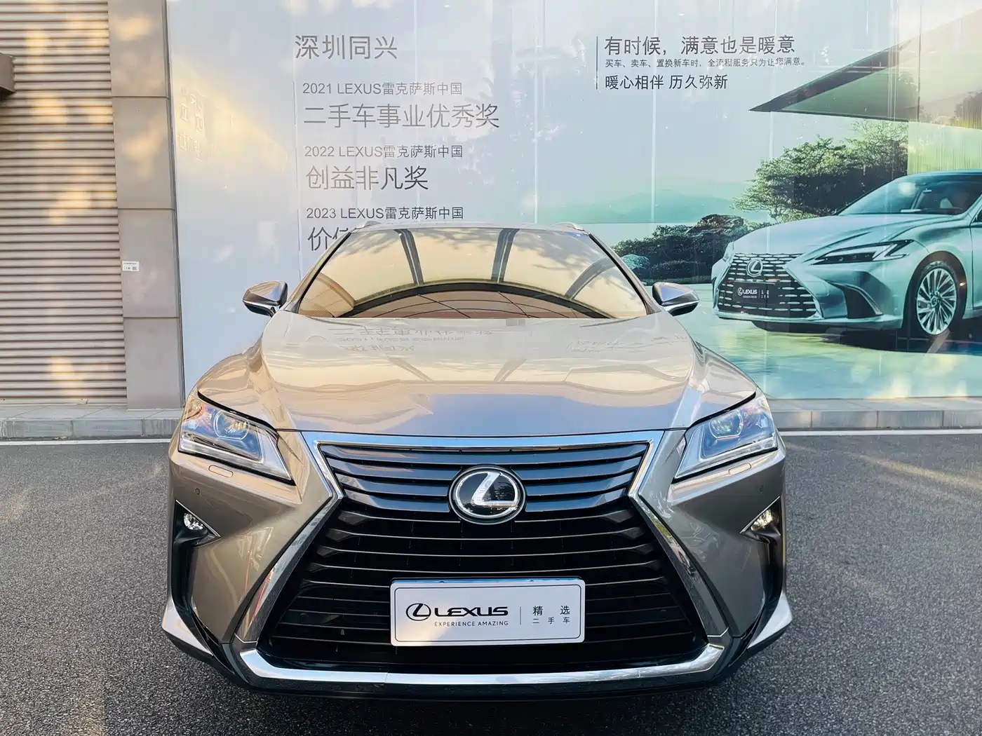 Lexus RX 2017 2016 300 2WD Elite Edition (China V)