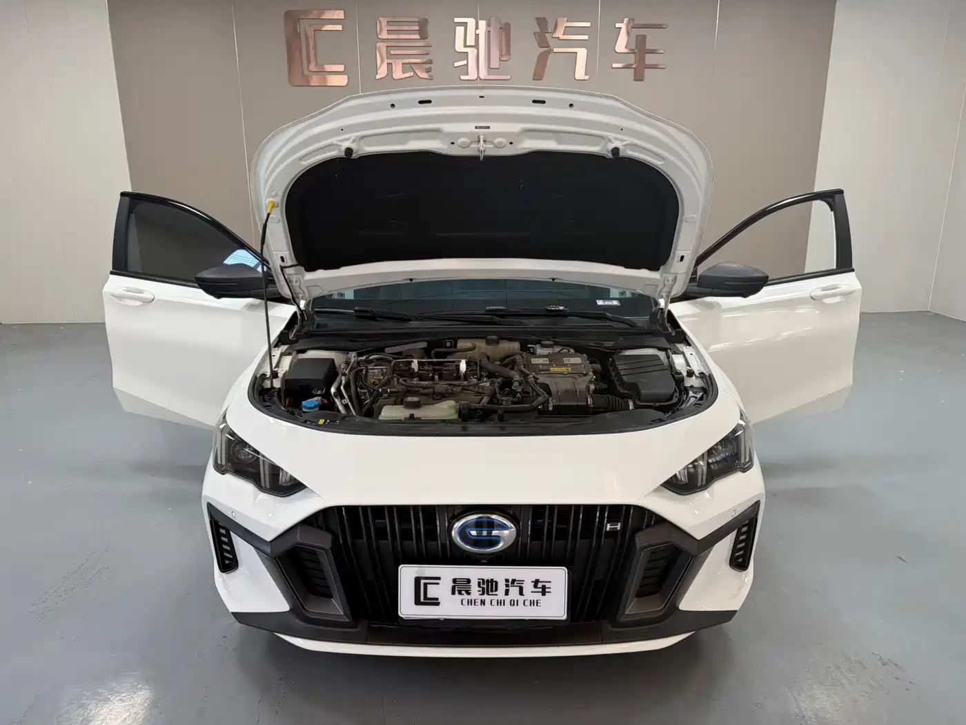 GAC Trumpchi Trumpchi Emkoo 2023 Shadow Leopard H Smart Hybrid фото 15