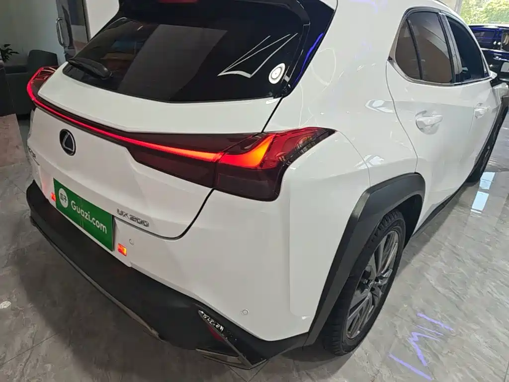 Фото 8 - Lexus UX