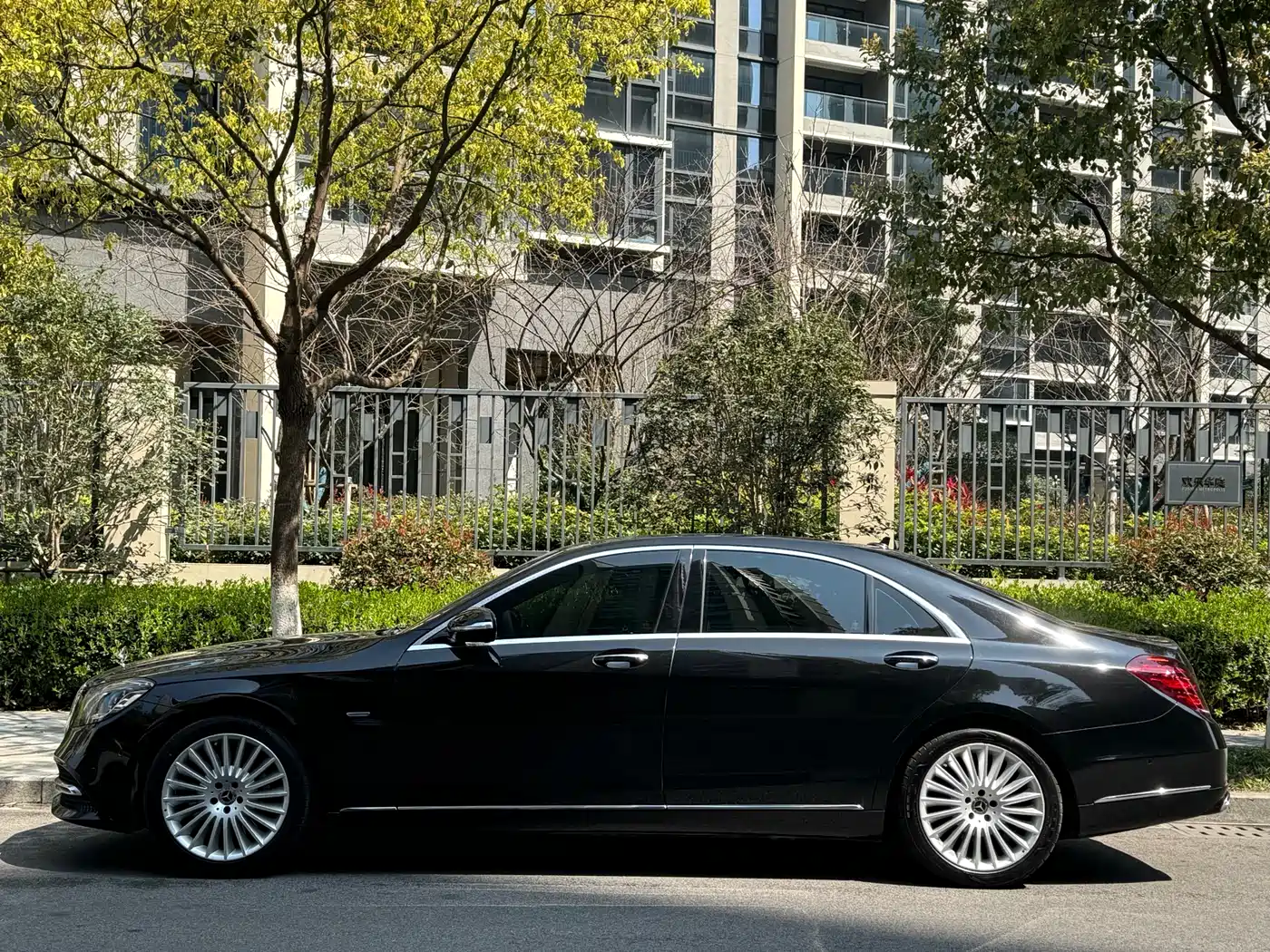 Mercedes-Benz S-Class 2020 S 350 L Business Edition Collector's Version фото 3