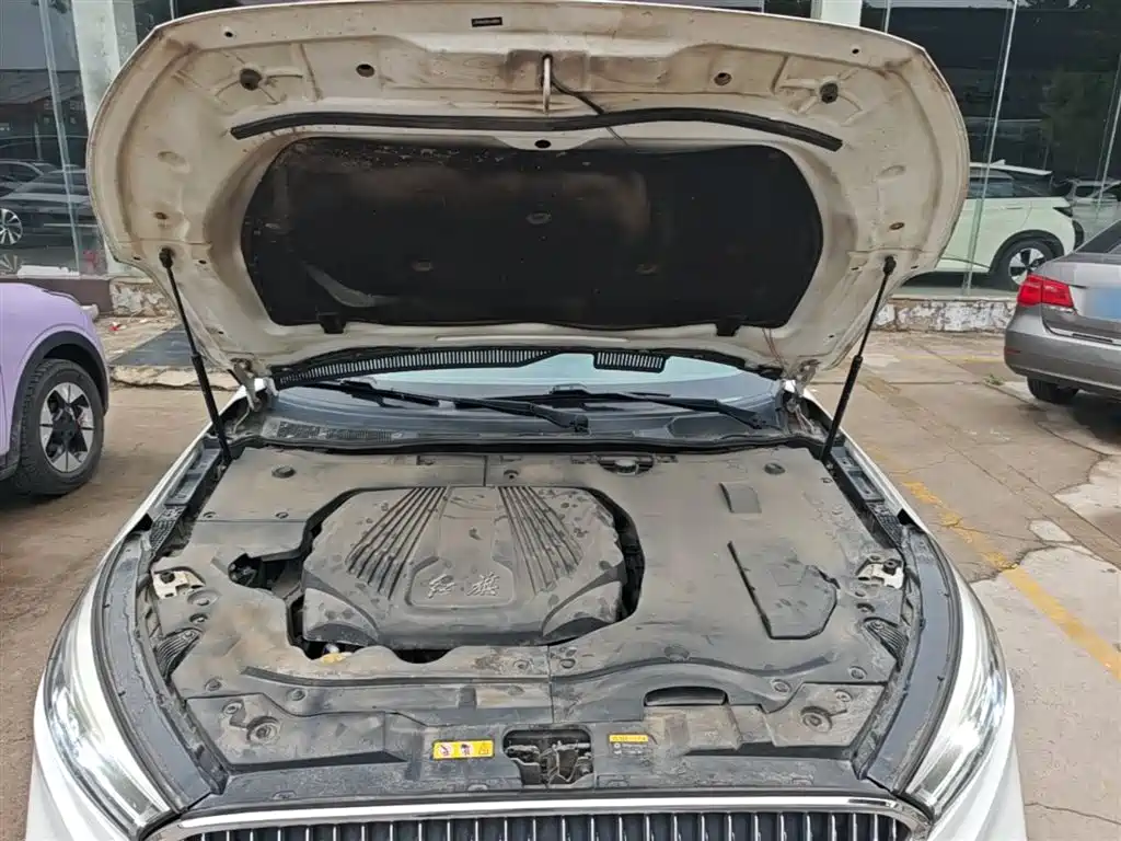 Hongqi H5 2019 30TD Smart Connect Rhythm Edition фото 20