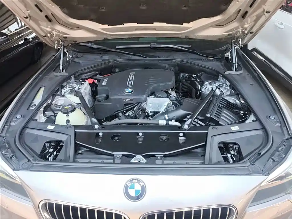 BMW 5 Series 2017 520Li Classic Edition фото 20
