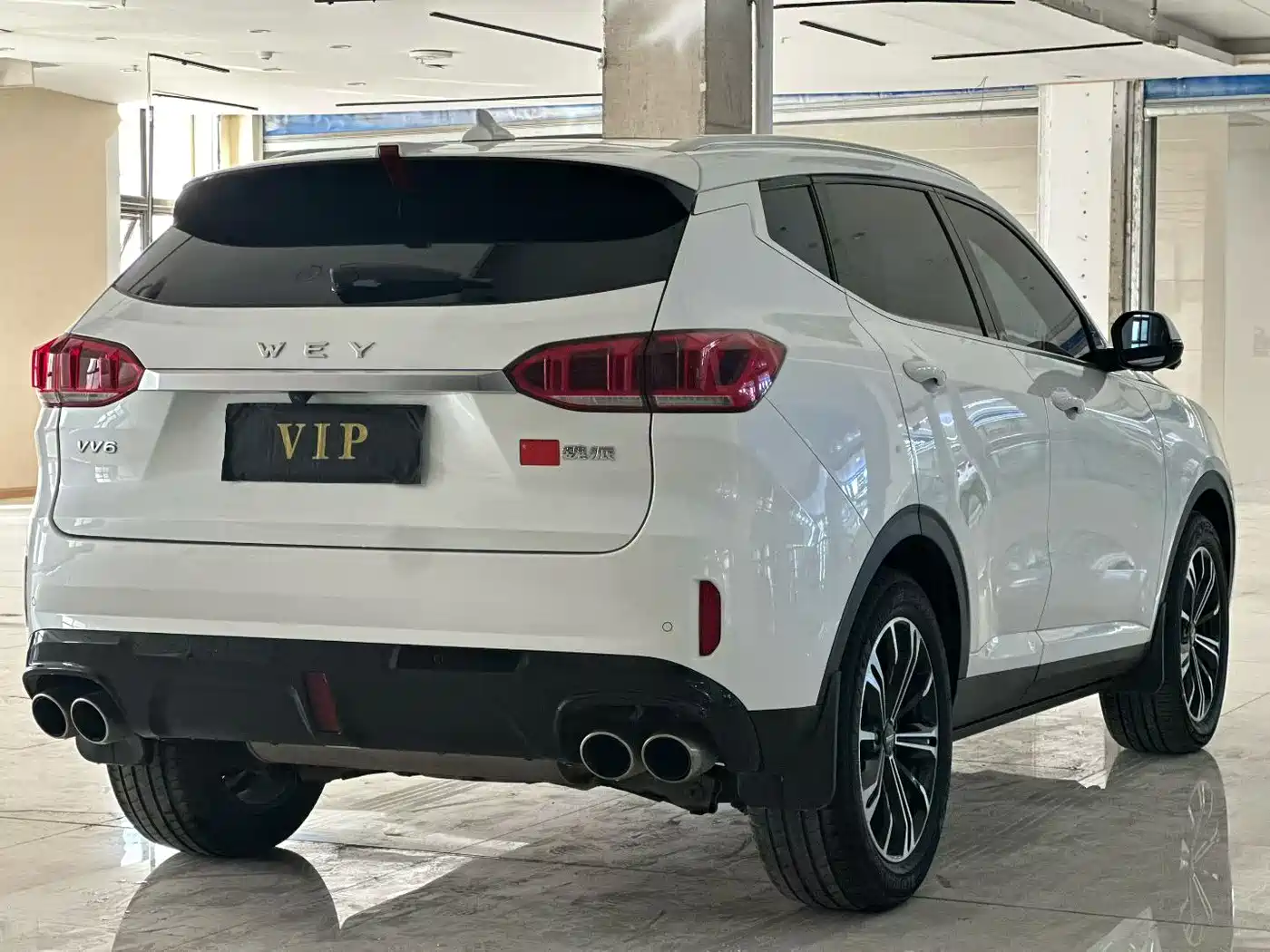 WEI PAI WEI BRAND VV6