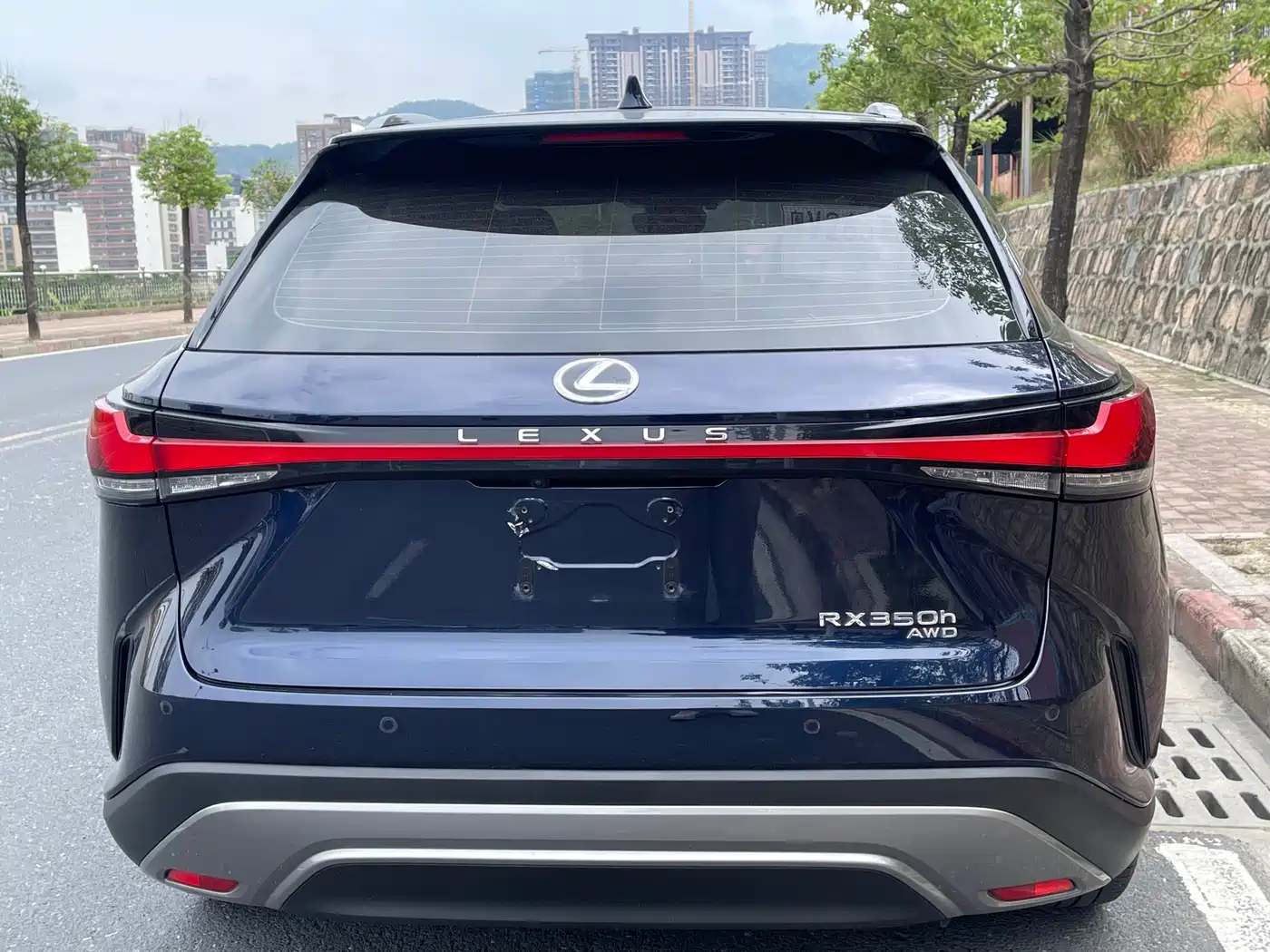 LEXUS RX