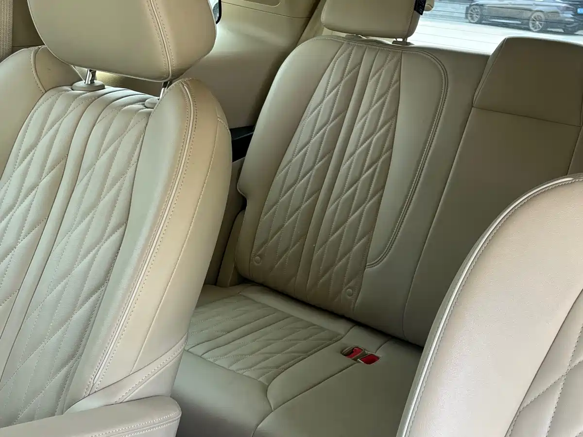 Buick GL8 2023 Land Business Class 652T Luxury фото 11