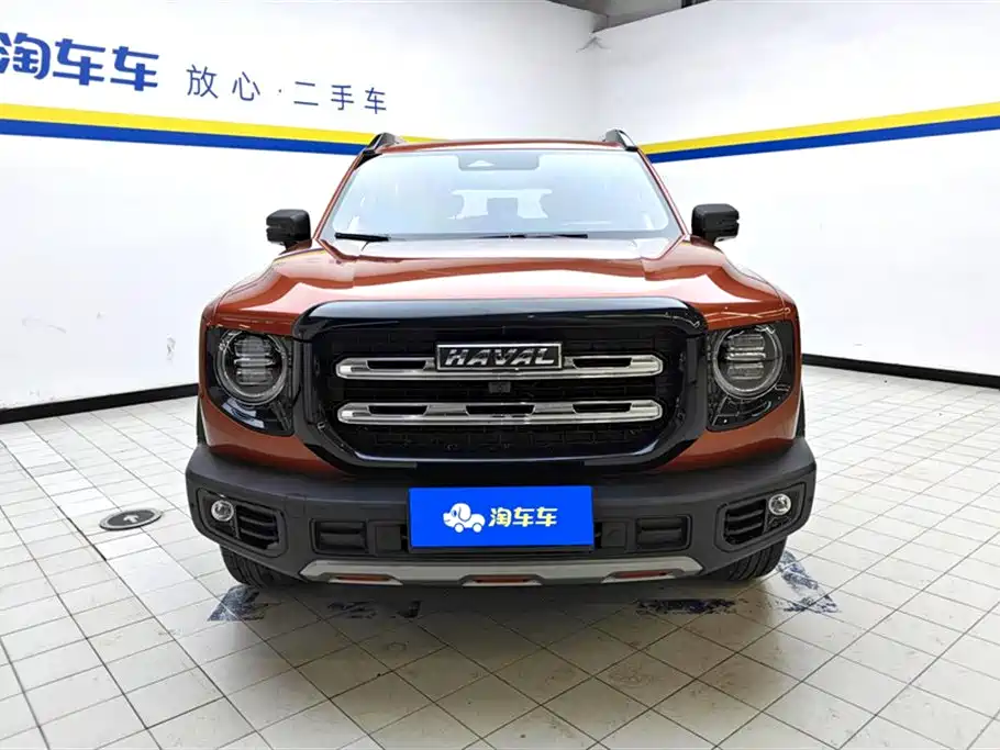 Haval Big Dog 2021 2.0T DCT 4WD Chinese Rural Dog Edition фото 2