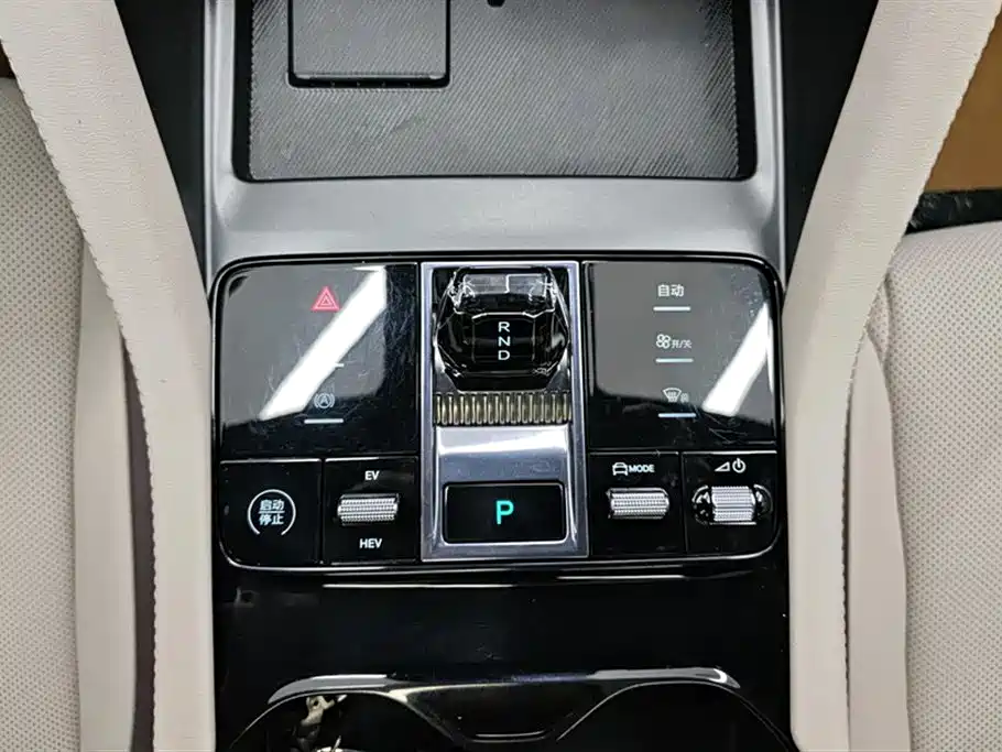 BYD SONGJIANG NEW ENERGY