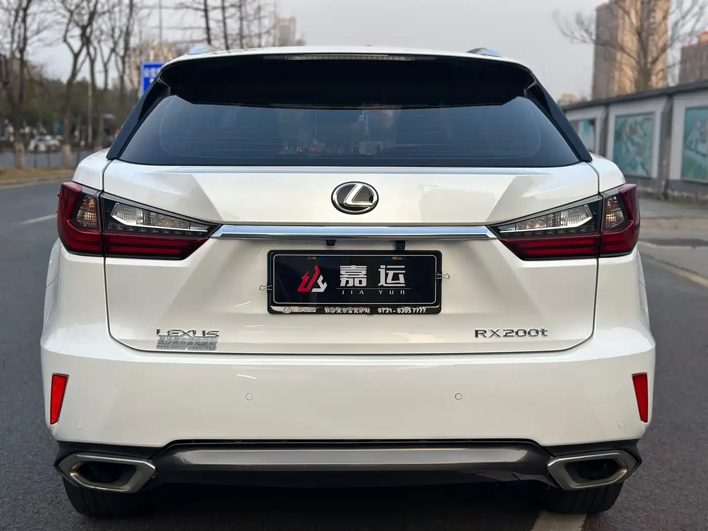 Lexus RX 2016 300 2WD Comfort Edition China V фото 4