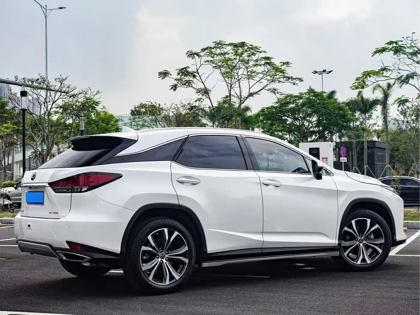 Lexus RX 2020 300 4WD Elegance Edition China VI фото 4