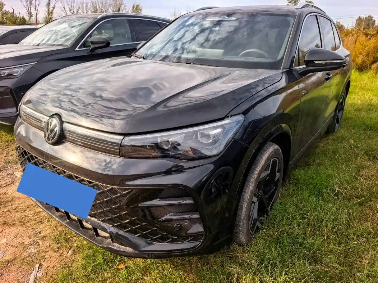 Фото 1 - Volkswagen Tiguan L