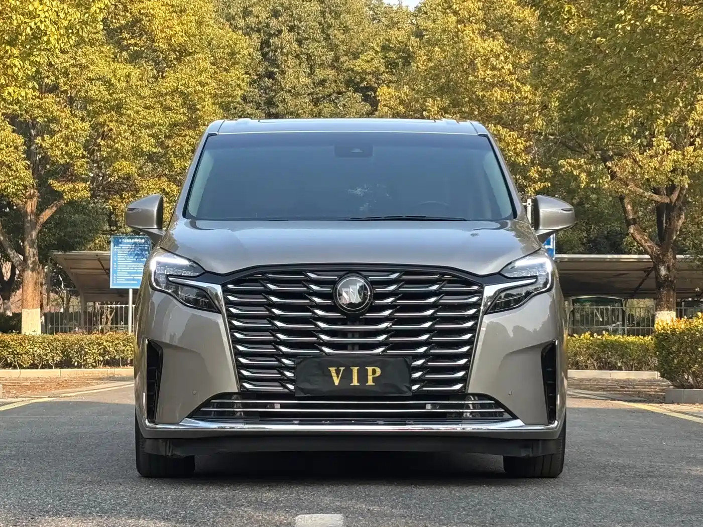 Buick GL8 2023 ES Landmaster Exclusive фото 2