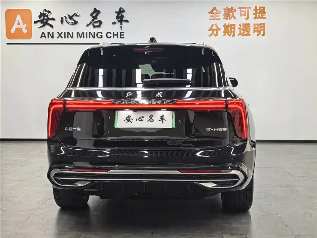 Hongqi E-HS9 2022 660km Qi Chang Edition (6-seater) фото 4