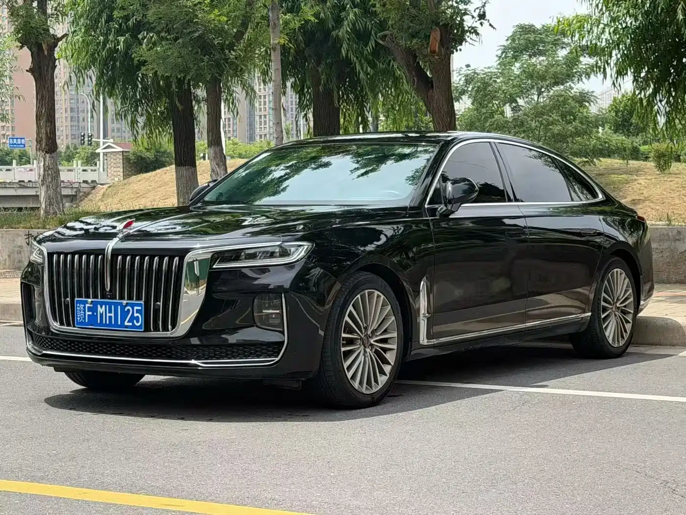 Hongqi H9 2020 2.0T Smart Connection Qi Xiang Edition