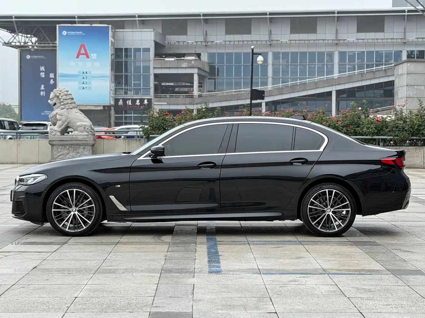 BMW 5 Series 2021 530Li xDrive M Sport Package фото 7